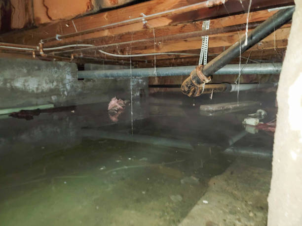 Best 24/7 water damage repair  in Salida, CA
