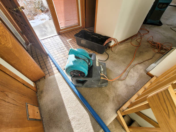 Best Mold removal after water damage  in Salida, CA