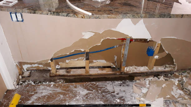 Best Ceiling water damage repair  in Salida, CA