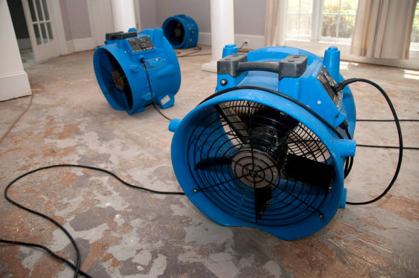 Best Fire Damage Restoration  in Salida, CA