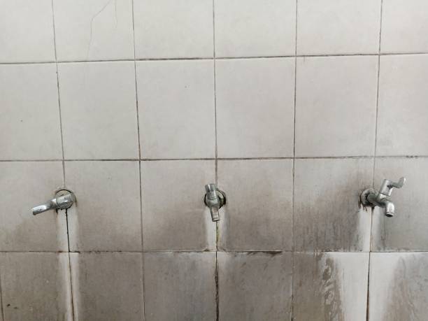 Best Water damage contractors near me  in Salida, CA