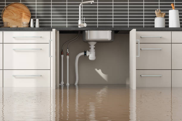 Best Water damage restoration near me  in Salida, CA