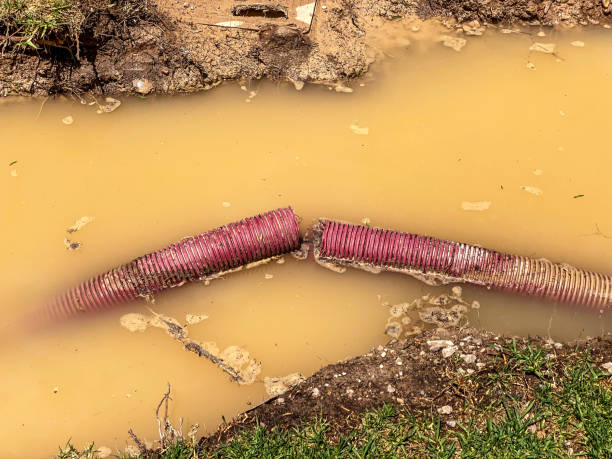 Best Water damage restoration process  in Salida, CA
