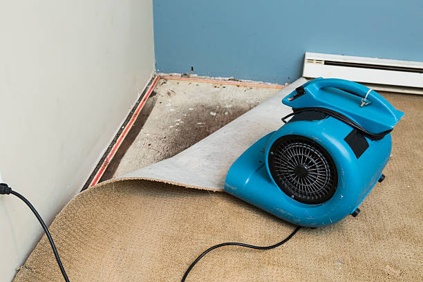 Best Flood restoration services  in Salida, CA